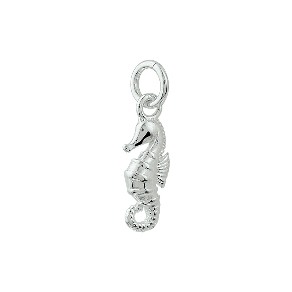 Hanger - zilver zeepaard