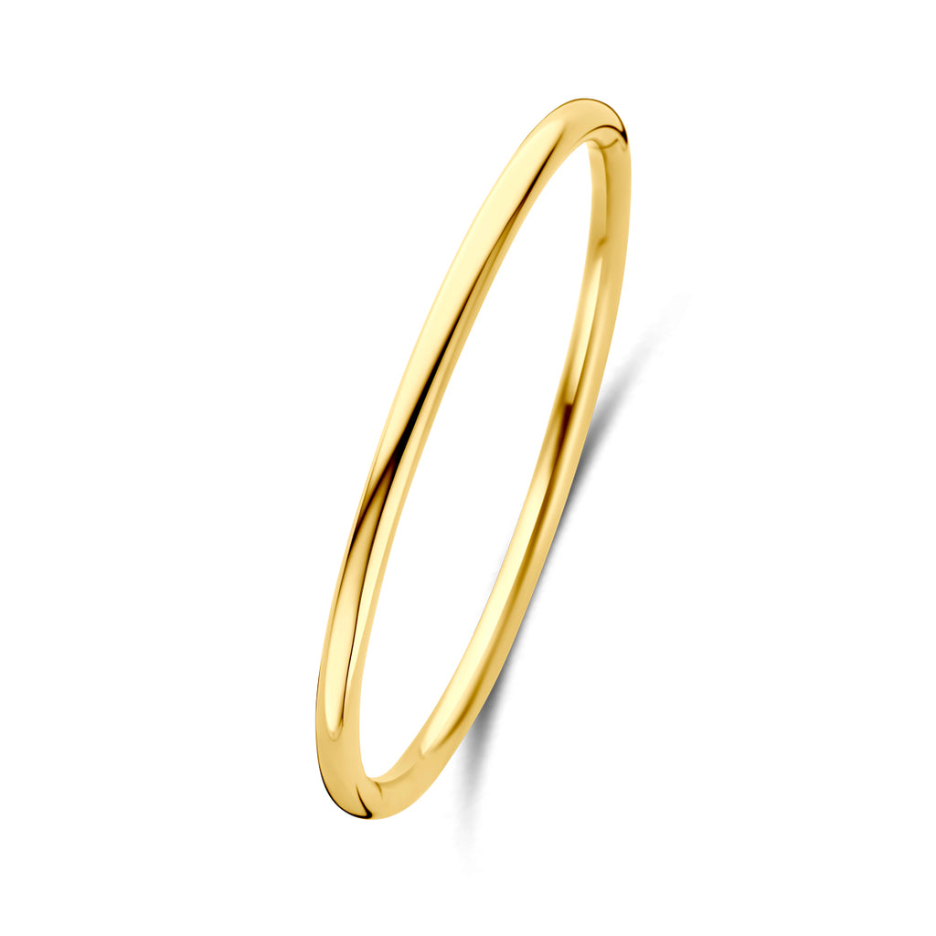 Bangle scharnier ion plating ronde buis 4.0 mm 60 mm