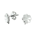 Oorstekers - zilver gerhodineerd