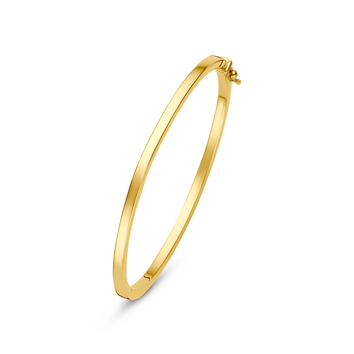 Bangle scharnier vlakke buis 3.0 x 60 mm