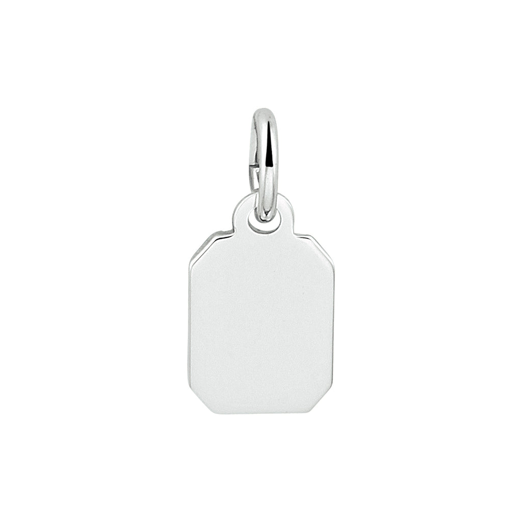 1333345 Zilver gerhodineerd