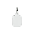 1333345 Zilver gerhodineerd
