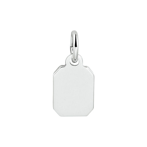 1333345 Zilver gerhodineerd