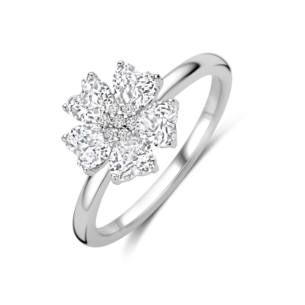 Ring zirkonia