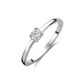 Ring zirkonia