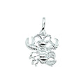 Sterrenbeeld hanger/bedel unisex