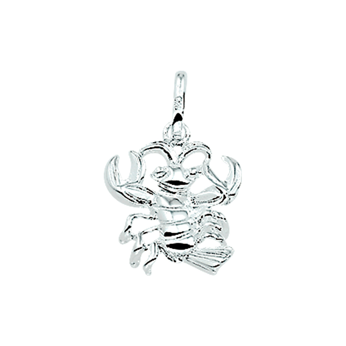 Sterrenbeeld hanger/bedel unisex