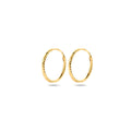 Oorringen - goud