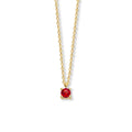 Collier met geboortesteen 40 - 42 - 44 cm