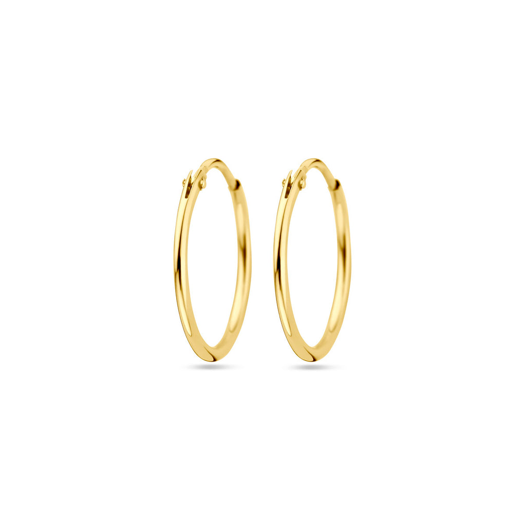 Oorringen 1.3 mm ronde buis