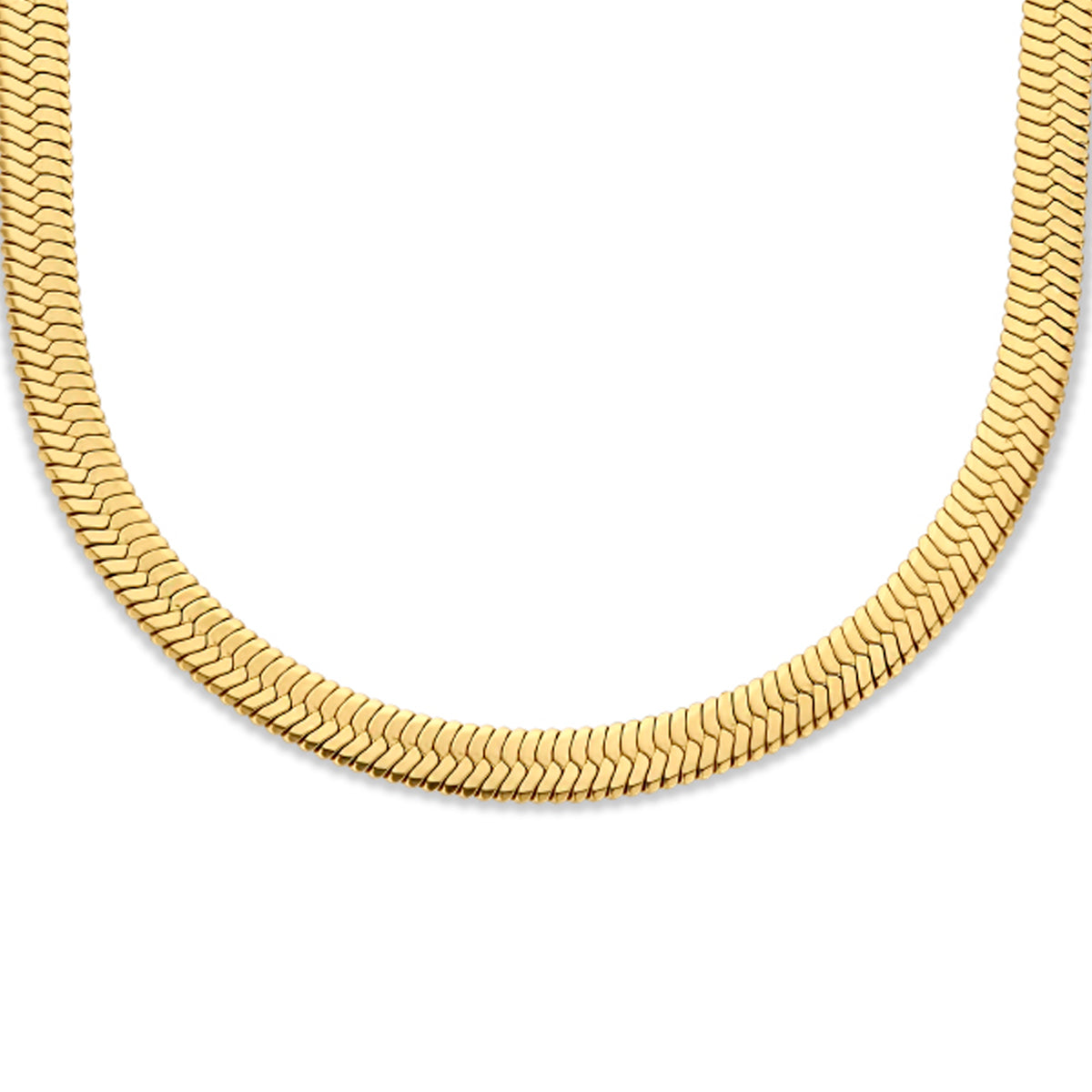 Collier slang plat 6.3 mm 42 cm ion plating