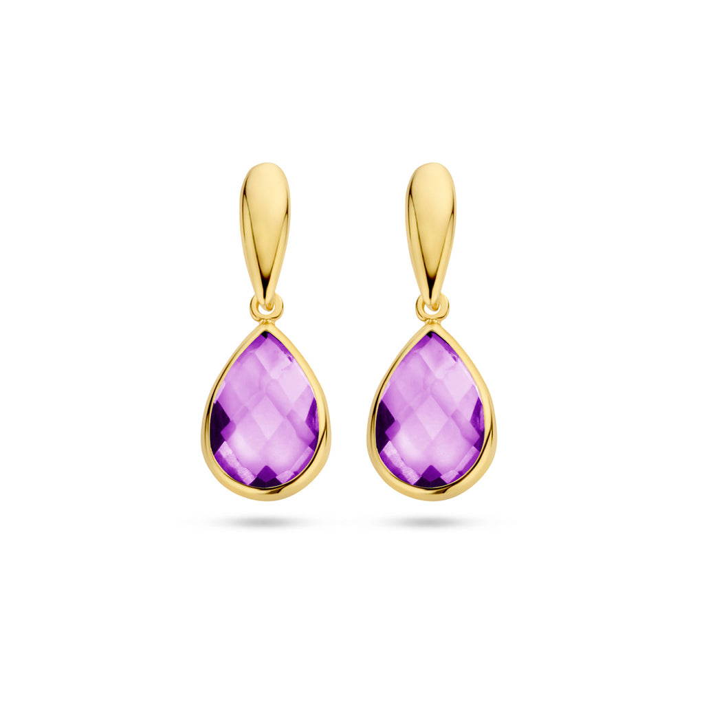 Oorhangers - 14k goud amethist