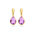 Oorhangers - 14k goud amethist