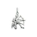 Sterrenbeeld hanger/bedel unisex