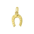 Hanger hoefijzer