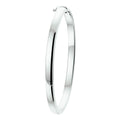 Bangle scharnier bolle buis 5 mm