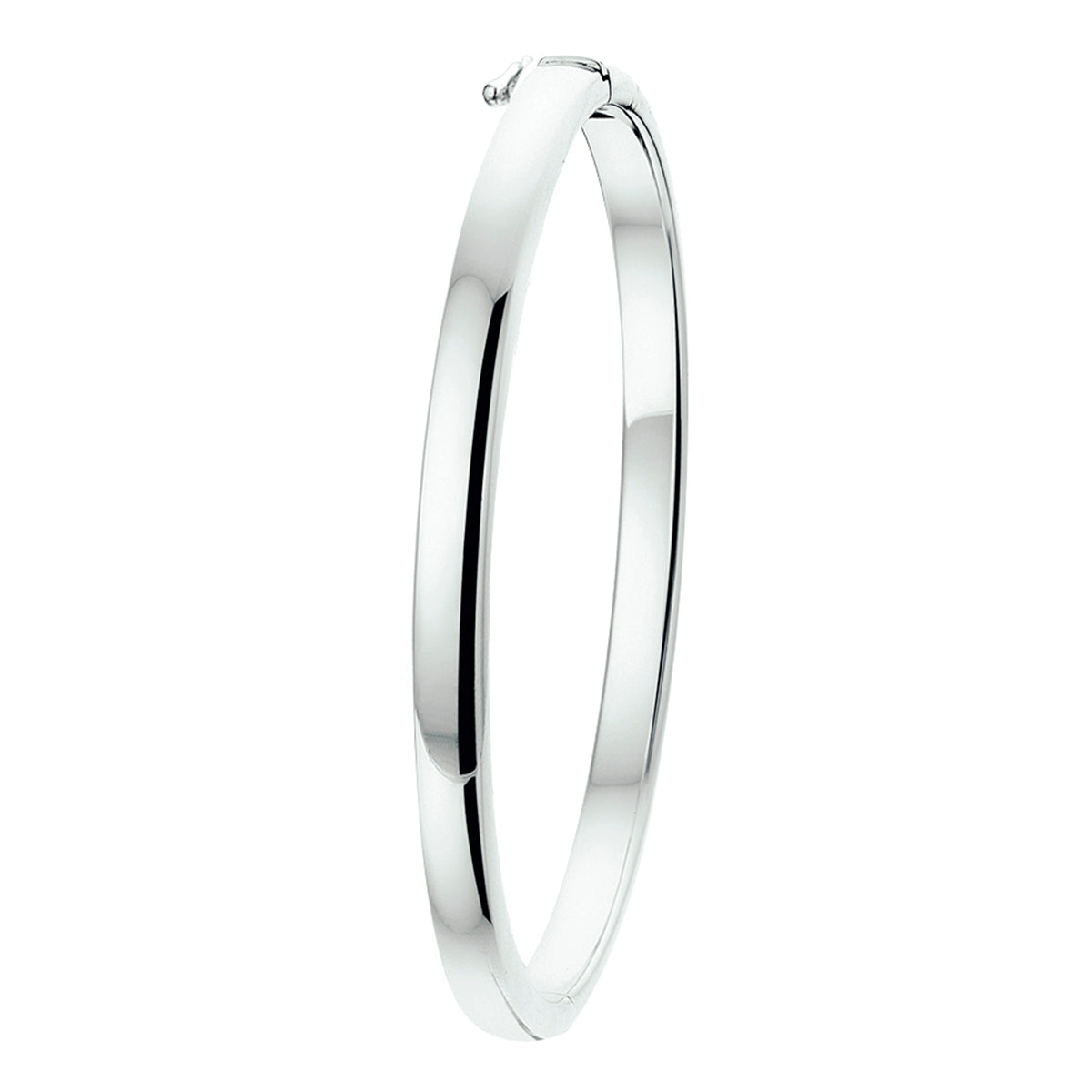 Bangle scharnier bolle buis 5 mm
