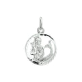 Sterrenbeeld hanger/bedel unisex