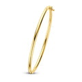 Bangle scharnier ronde buis