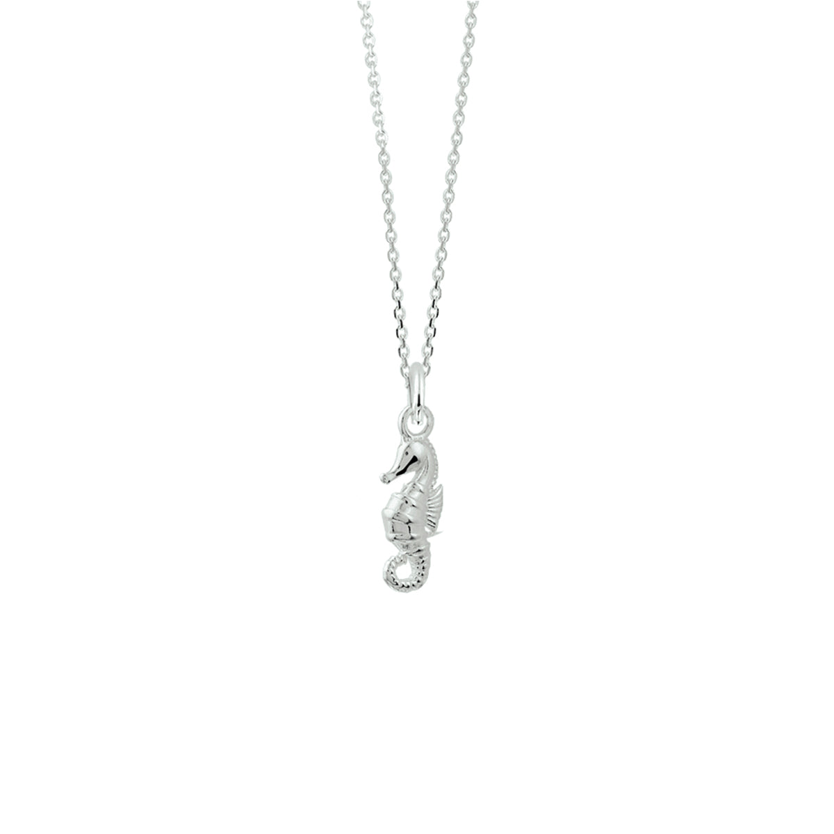 Collier zeepaard 41 + 4 cm
