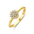 Ring zirkonia
