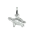 Hanger - Zilver schildpad