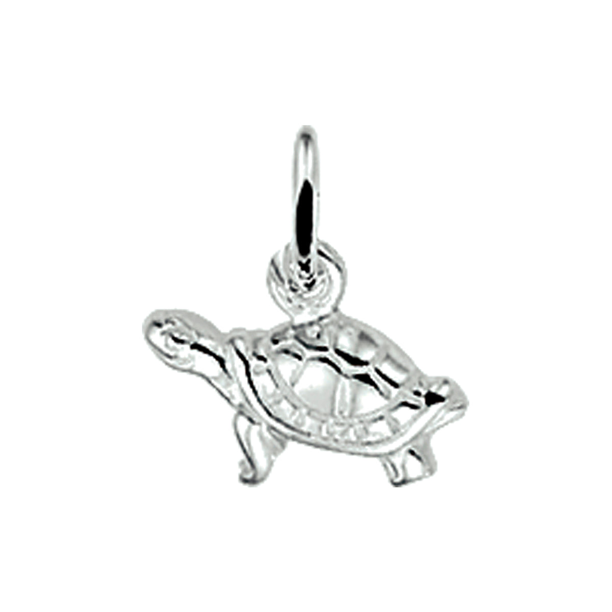 Hanger - Zilver schildpad