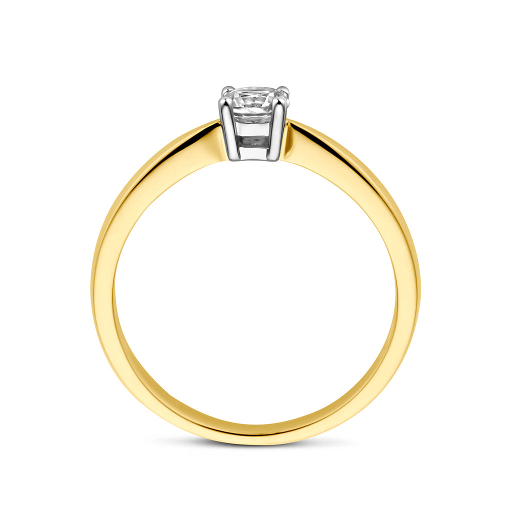 Ring zirkonia