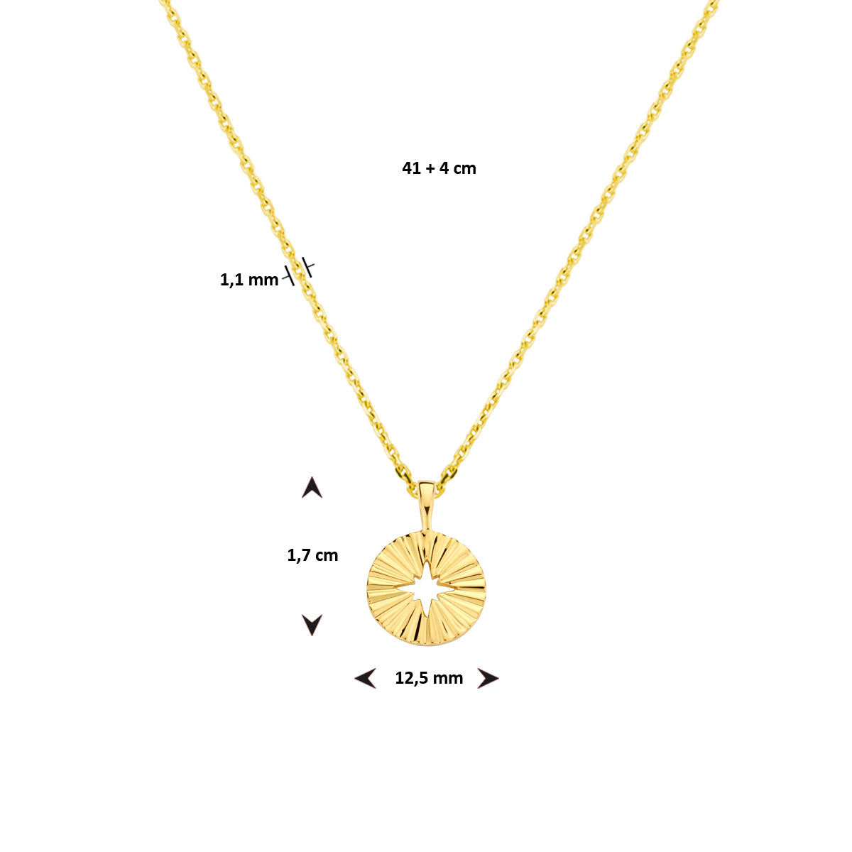 Collier rondje 41 + 4 cm