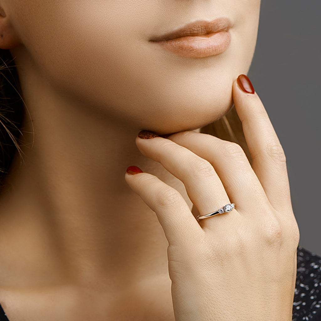 Ring zirkonia