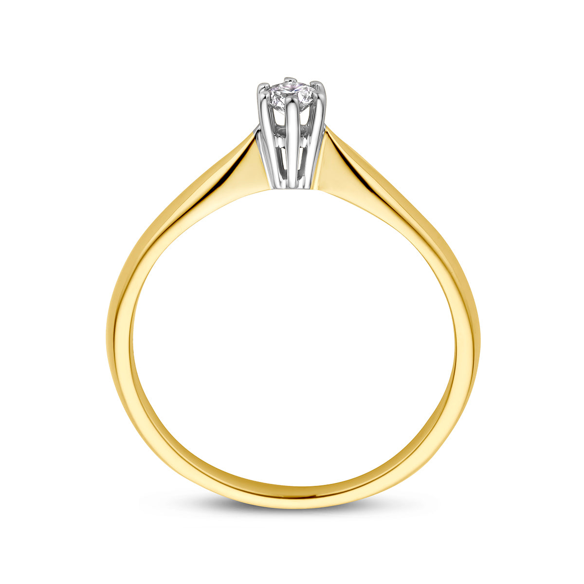 RING DAMES