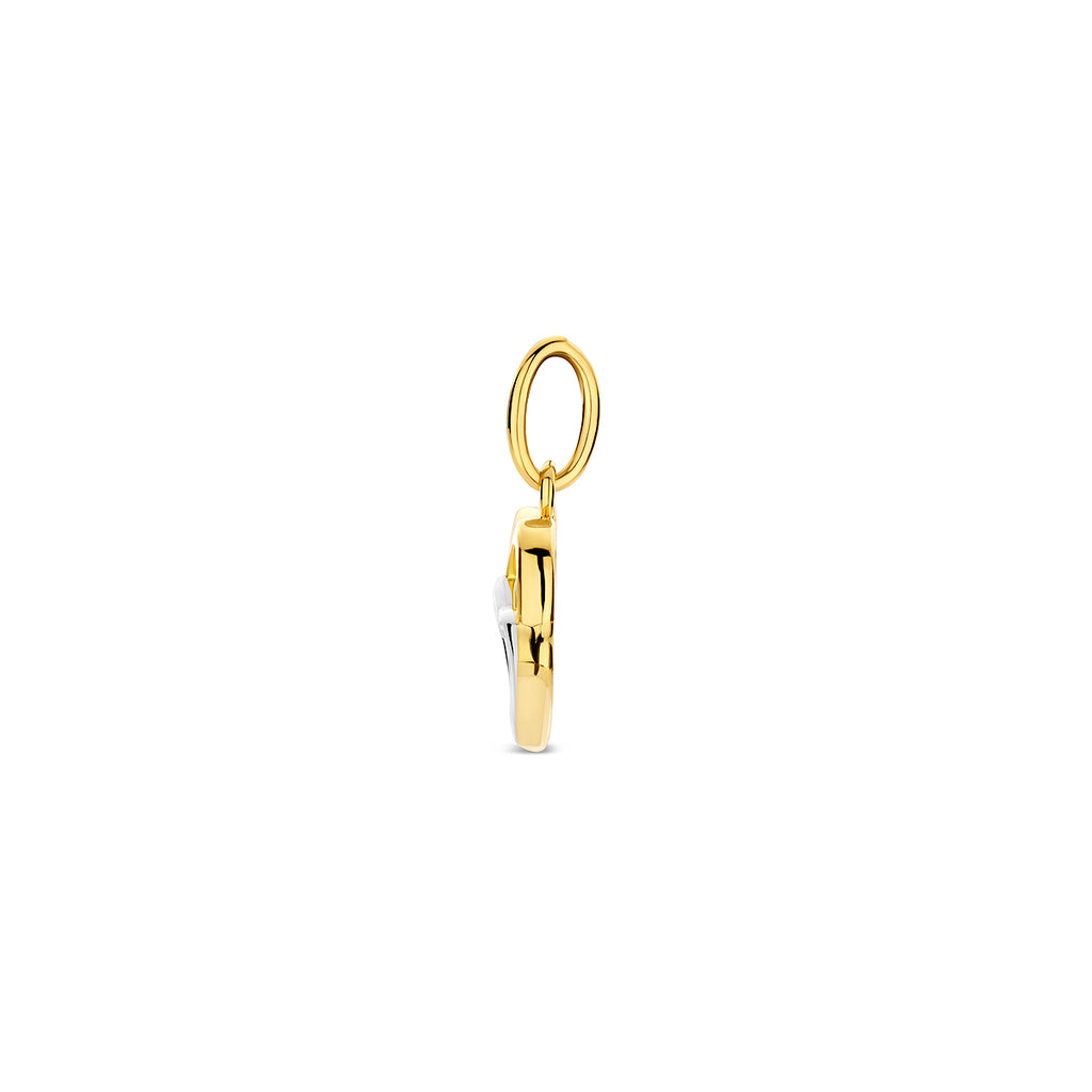 Hanger - goud