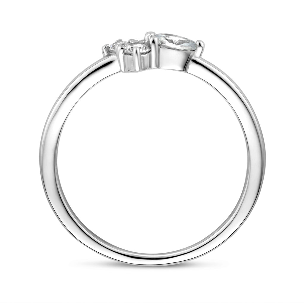 Ring zirkonia