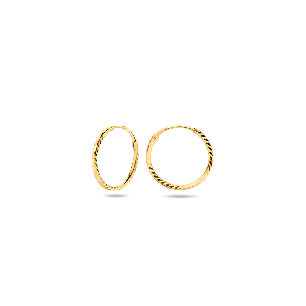 Oorringen - goud