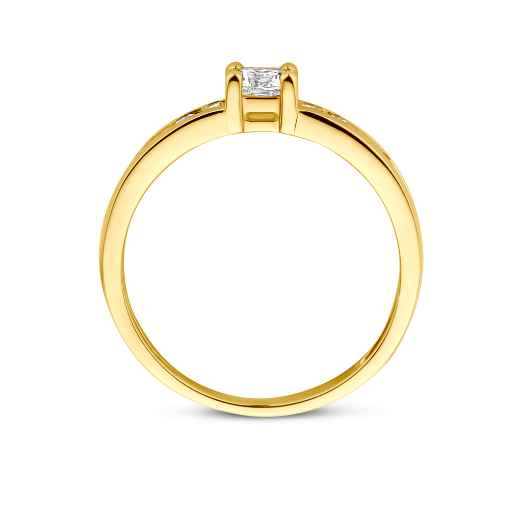 Ring zirkonia