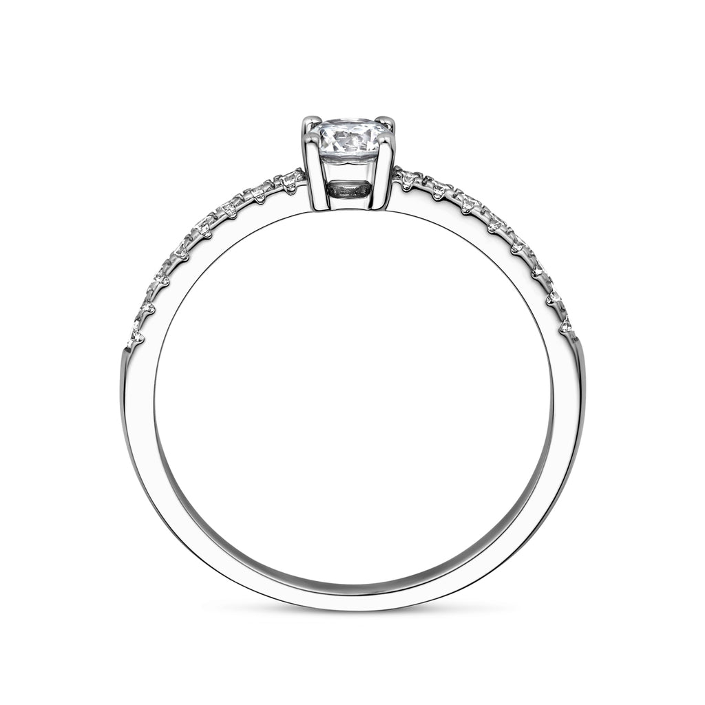 Ring zirkonia