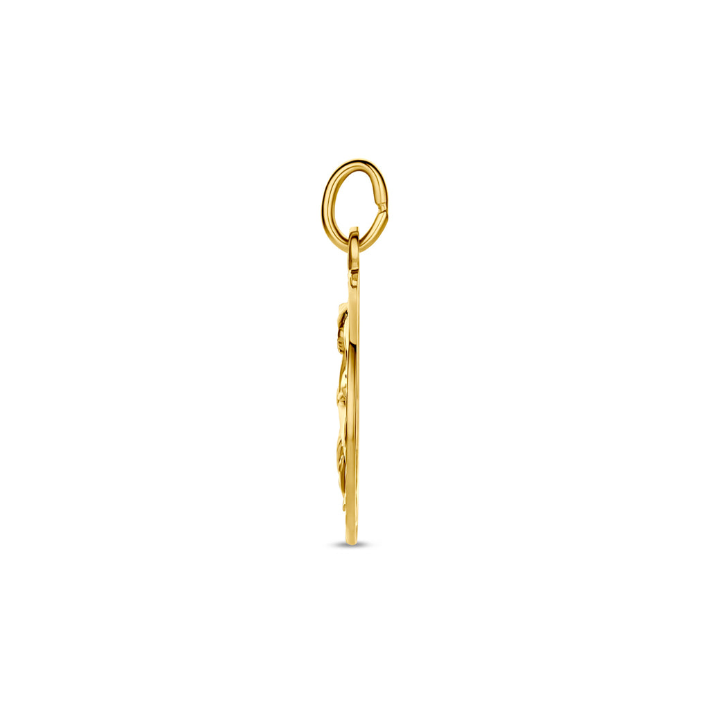 Hanger sterrenbeeld gediamanteerd