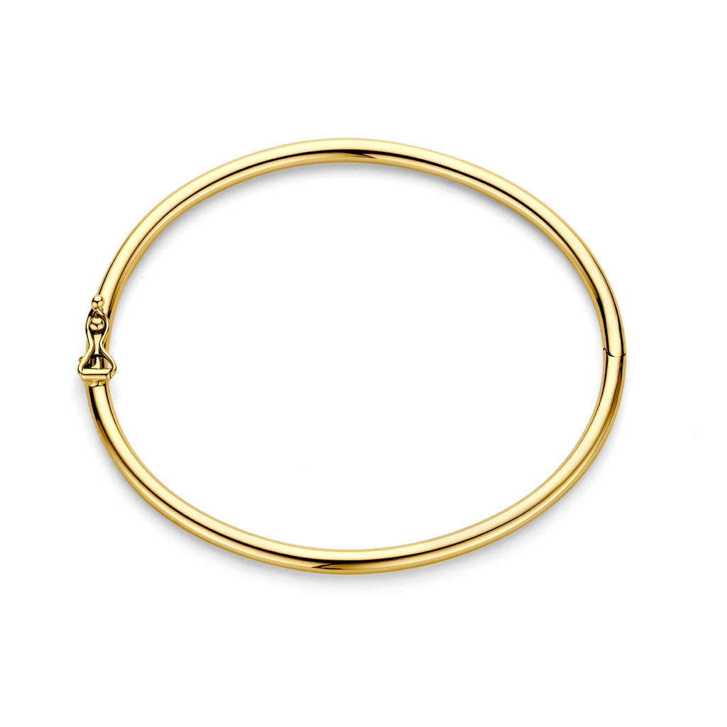 Bangle scharnier ronde buis