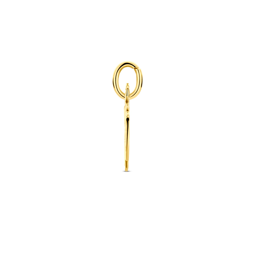 Hanger - goud