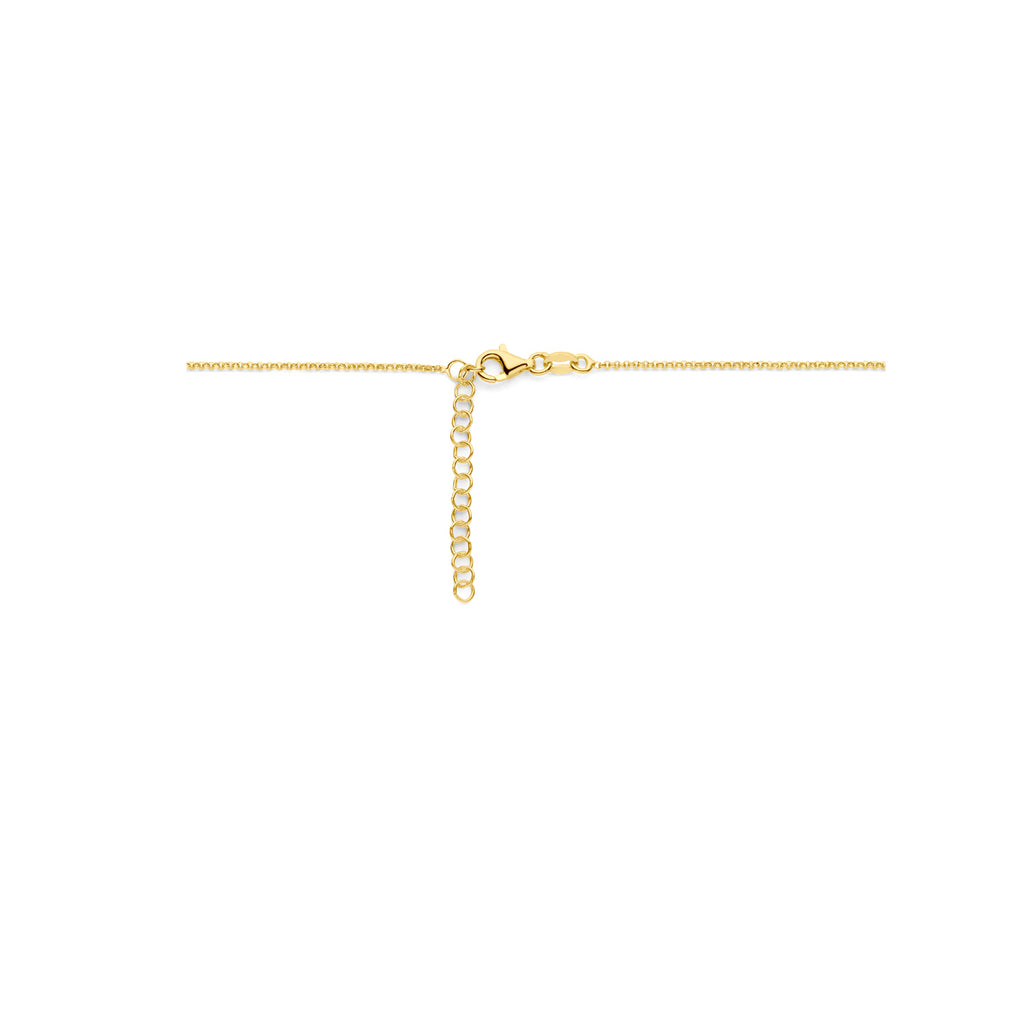 Collier hartjes 41 + 4 cm 3 micron