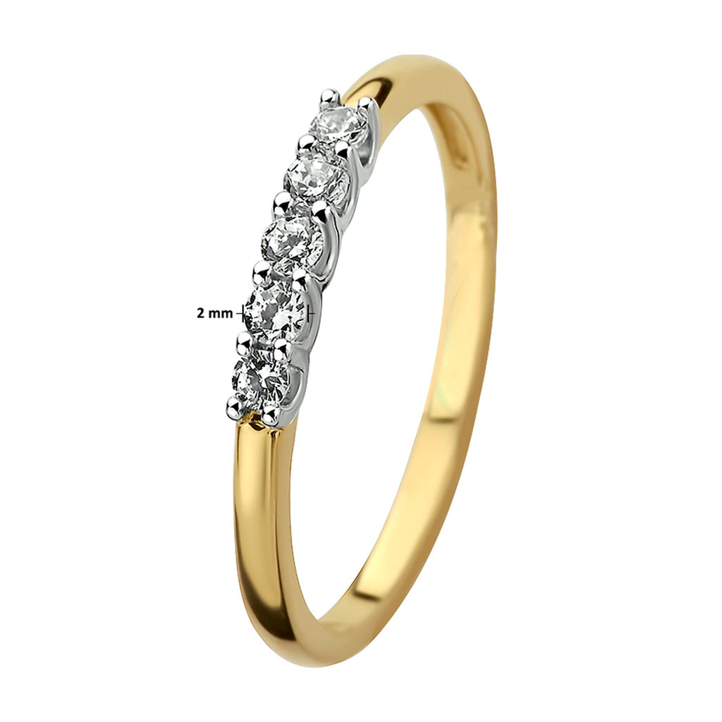 Ring zirkonia