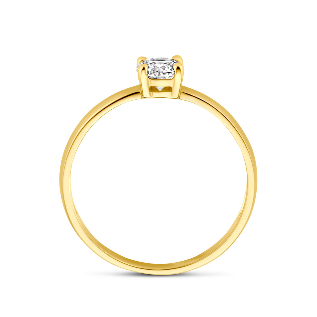 Ring zirkonia