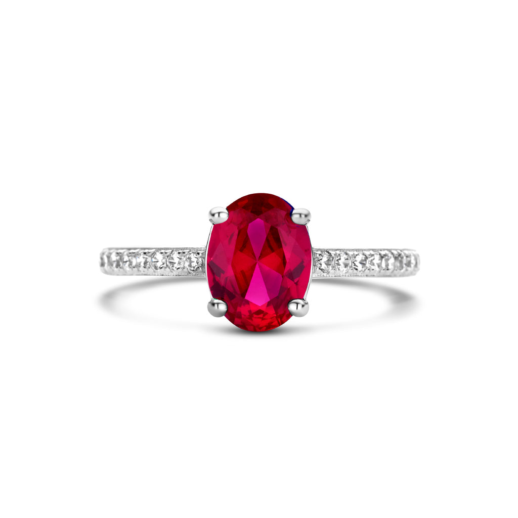 Ring zirkonia korund en zirkonia