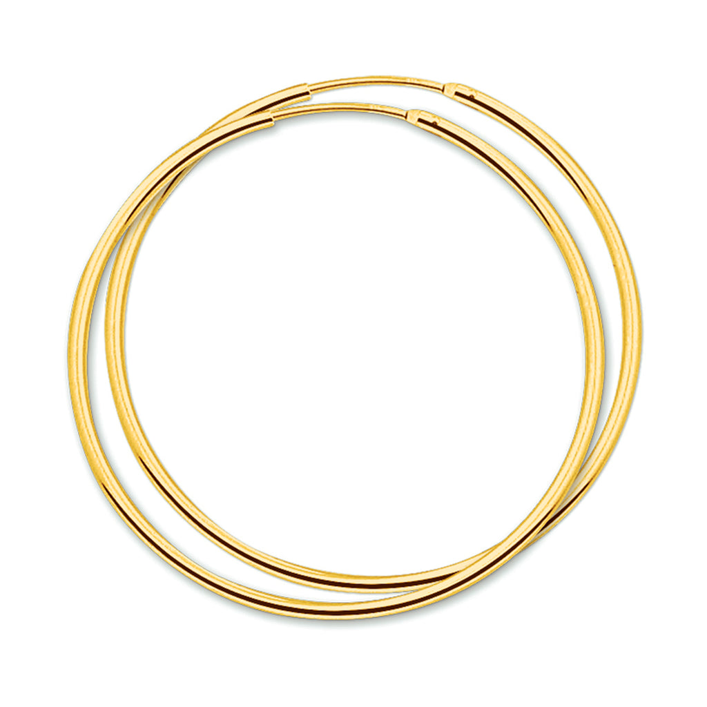 Oorringen 1.5 mm ronde buis