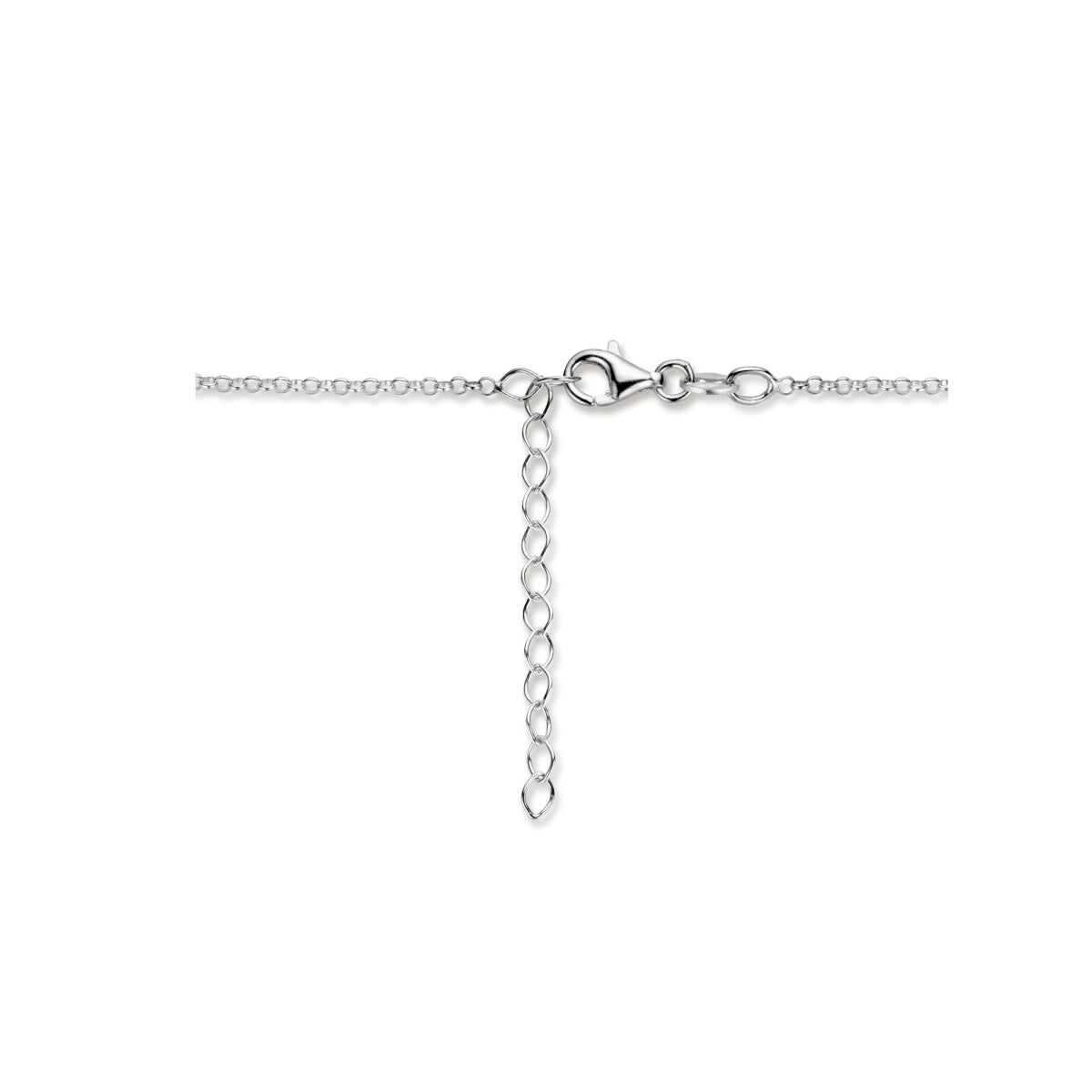 Collier slang 41 + 4 cm