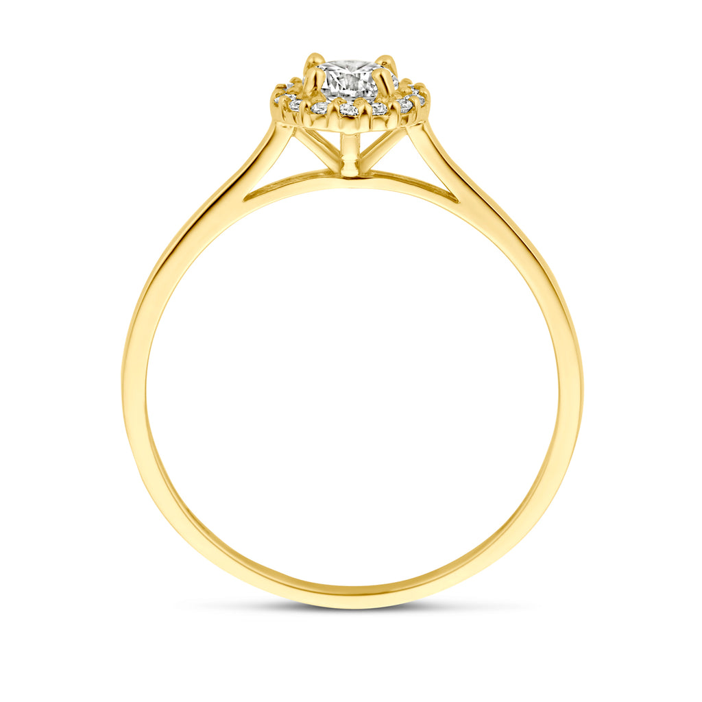Ring zirkonia