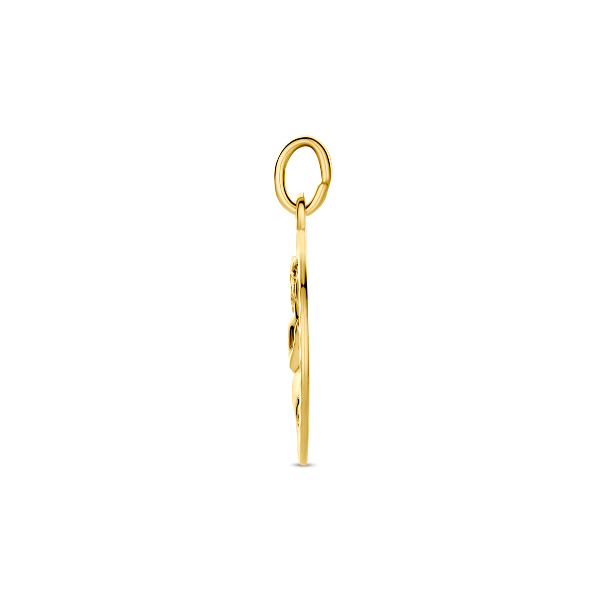 Hanger sterrenbeeld gediamanteerd