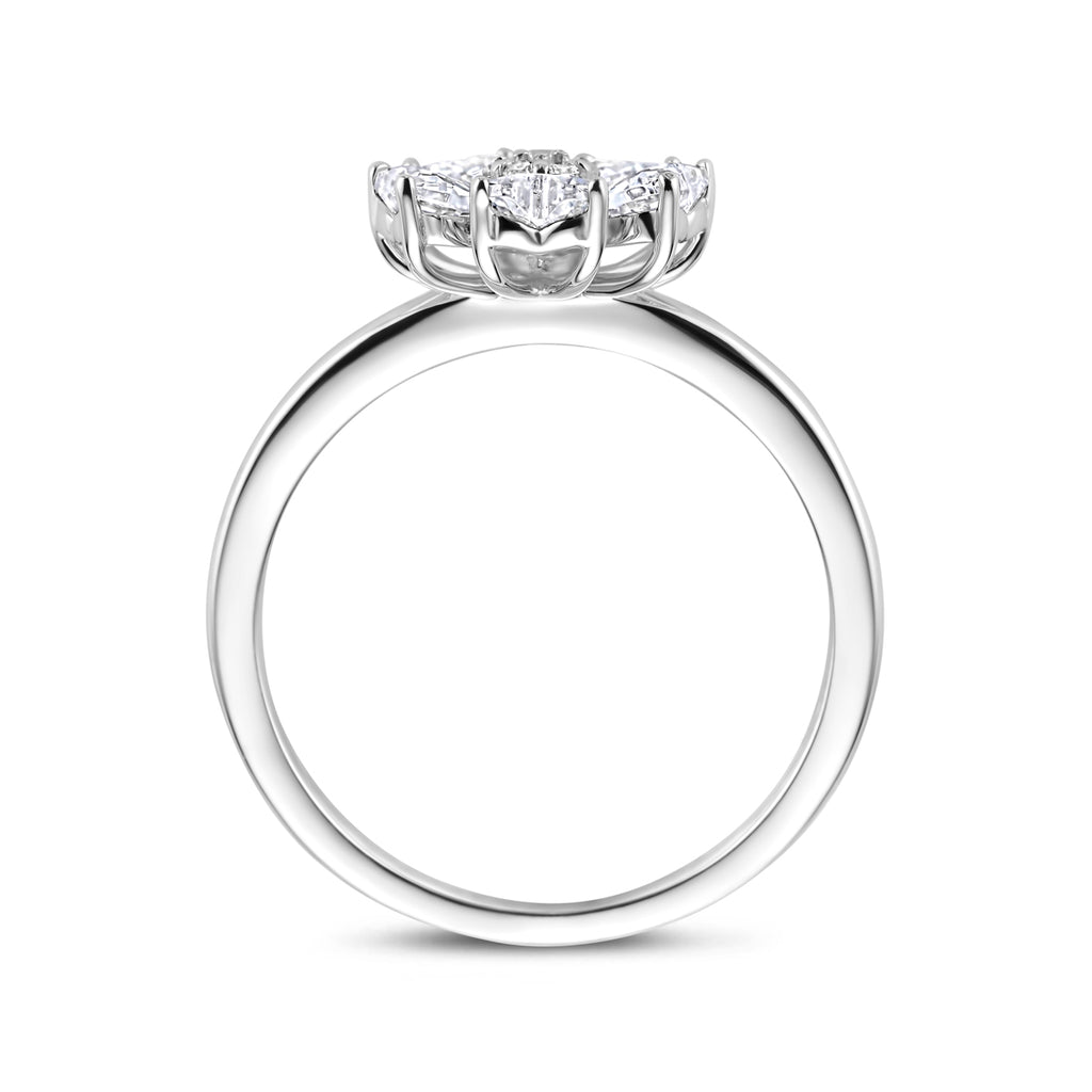 ring zirkonia