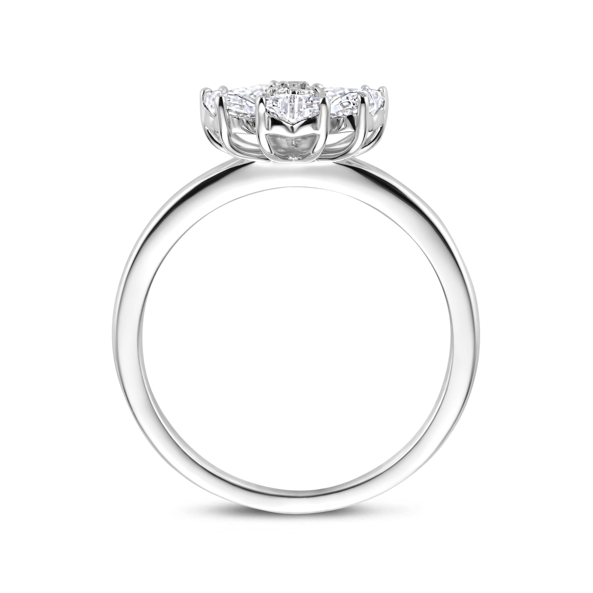 ring zirkonia