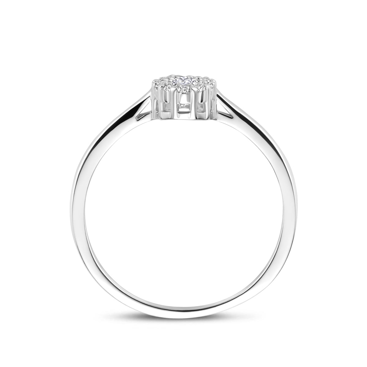 Ring zirkonia